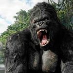 Danny Savage - @danny.savage.94 - Instagram