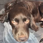 danny - @dannysayers403 - Instagram