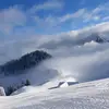 Danny - @danny.schaefer.0 - TikTok