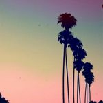 danny scherer - @summers232 - Instagram