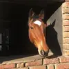 dannyschlter - @dannyschlter - TikTok