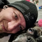 Danny Schmidt - @schmidtdanny272 - Instagram