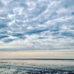 Danny Schmitz - @dannyschmitz29 - Instagram