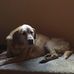 Danny Scholl - Facebook
