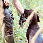 Danny Schulz - @dk_vom_grossen_luch_ - Instagram