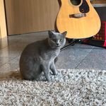 Danny Schulz - @dannyschulz4 - Instagram