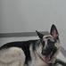 Danny Seales - Facebook