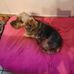 Tania Segers - Facebook