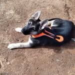 Danny Segraves - @danny.segraves.79 - Instagram