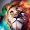 dannysegundo235 - @culos332 - TikTok