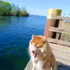 dannyseins - @dannyseins - TikTok