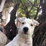 Danny Soliman - Facebook