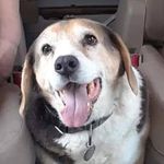 Danny Spears - @danny.spears.7587 - Instagram