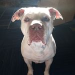 Danny Spence - @danny.spence.980 - Instagram