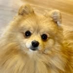 Danny Mr. - @danny.mr.spitz - Instagram
