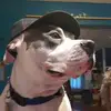 Danny Spitznogle - @danny.spitznogle - TikTok