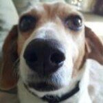 Danny Sprague - @scoobesnax25 - Instagram