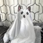 Danny Spring - @spring.danny - Instagram