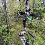 Danny Springer - @dannyspringer67 - Instagram