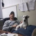Danny Springer - @windowdan123 - Instagram