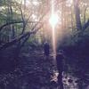dannyboystanfield - @dannyboystanfield - TikTok