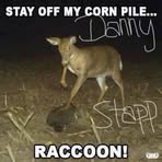 Danny Stapp - Facebook