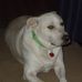 Danny Starnes - Facebook