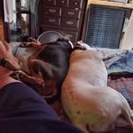 Danny Staten - Facebook
