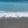 Dani Stauffer - @dani.stauffer - TikTok
