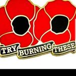 danny steed - @steeddanny - Instagram
