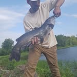 Daniel Steiner - @danny_boy_556 - Instagram