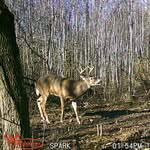 James Danny Steiner - @james_in_da_woods - Instagram