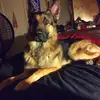 Danny Stephen - @danny.stephen2 - TikTok