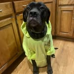 Danny Stepp - @dannys3950 - Instagram