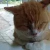 Danny Stepp - @danny.stepp2 - TikTok
