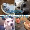 Danny Stegall706 - @dannystegall706 - TikTok