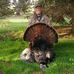 Danny Stigall - Facebook