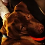 Danny Still - @djstill_88 - Instagram