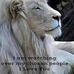 Dan Vicki Stiltner - Facebook