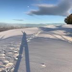 Danny Stock - @dstock55 - Instagram