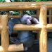 Danny Stock - Facebook