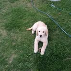 Danny Strother - Facebook