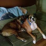 Danny Strunk - @dstrunk8772 - Instagram