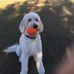 Dan Stuckey - Facebook