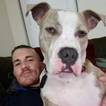 Danny Studdard - @salty_studly_studdard - Instagram