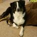 Danny Studer - Facebook