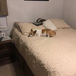 Danny Swank - @swank.danny - Instagram
