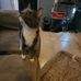 Danny Tabor - Facebook