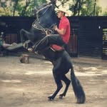 Danny Taborda - @dannytaborda01 - Instagram