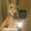 dannytaborda855 - @dannytaborda855 - TikTok
